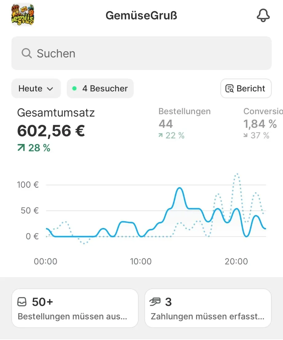 Shopify-Dashboard eines Tages: 602,56 € Umsatz, 44 Bestellungen, 1,84 % Conversion
